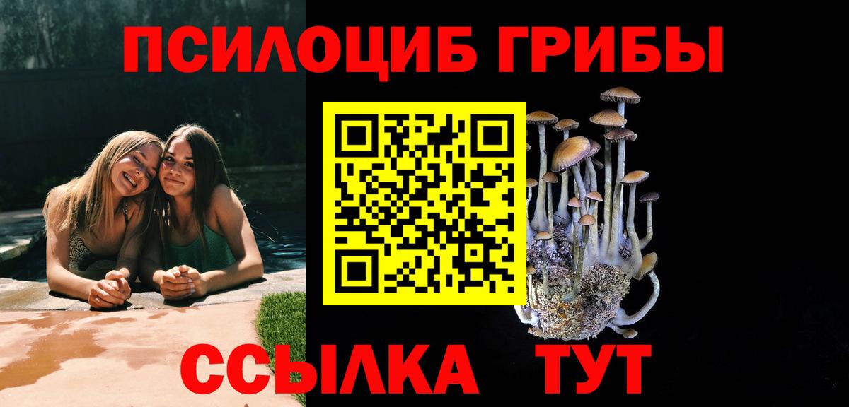 Псилоцибиновые грибы GOLDEN TEACHER Красноперекопск